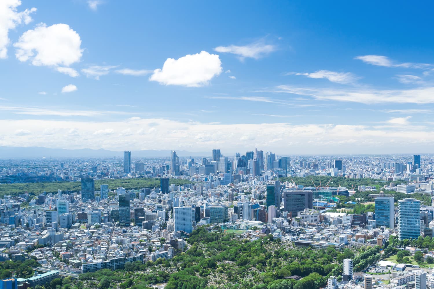 丸木公認会計士事務所